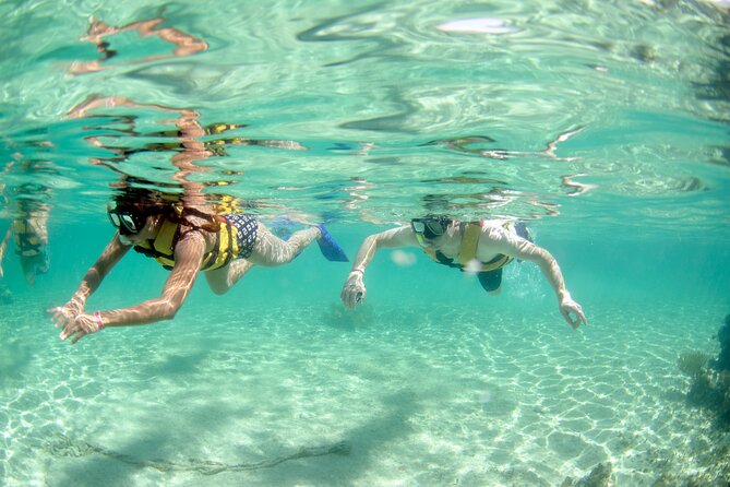 3-in-1 Puerto Morelos: Snorkeling, Tequila & Beachside Lunch - Safety, No-Phone Rules, and Weather Reality for Snorkeling Near Puerto Morelos