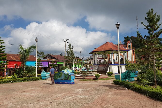 3 Levels of Huatulco the coffee you've been looking for - What you learn about organic and artisan coffee (and how it shows up in flavor)