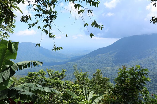 3 Levels of Huatulco the coffee you've been looking for - Comfort, walking, and what to wear for a rural coffee day