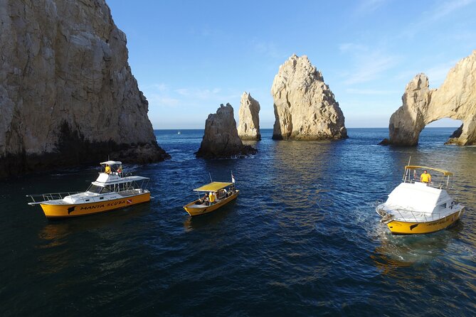 3-Tank Scuba in Marine Reserve and Corridor for Certified Divers - Tank 3 at Pelican Rock or Lands’ End, often the most memorable moment