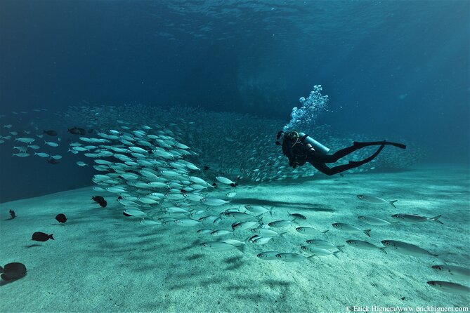 3-Tank Scuba in Marine Reserve and Corridor for Certified Divers - Meet at Manta Scuba in the Marina, then onto the boat fast