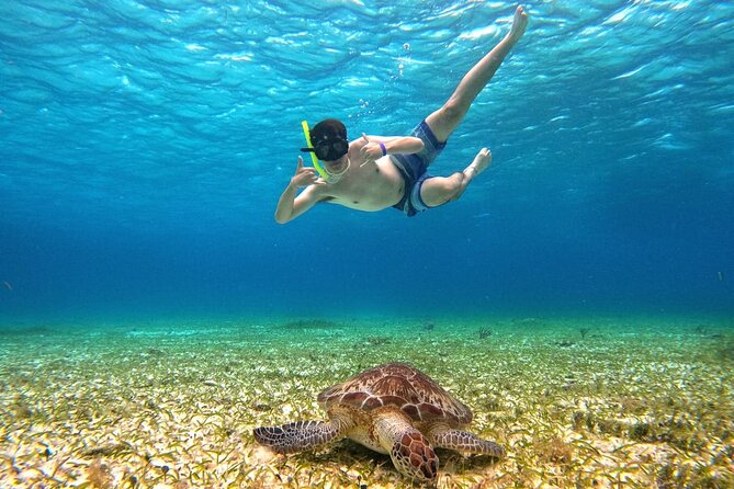 4 Hour Cozumel Turtle Sanctuary Experience on a Luxury Catamarán - On-board reality: what the catamaran experience is like