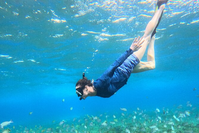4 Hour Cozumel Turtle Sanctuary Experience on a Luxury Catamarán - Snorkel time around Cozumel reefs, including turtles