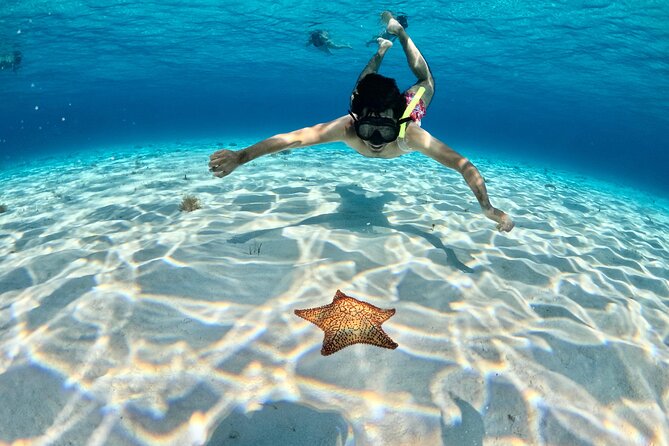 4 Hour Cozumel Turtle Sanctuary Experience on a Luxury Catamarán - El Cielo starfish sanctuary, and why the sand stops matter