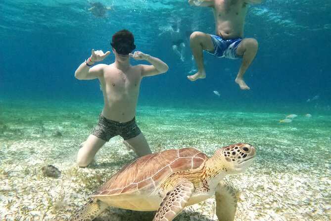 4 Hour Cozumel Turtle Sanctuary Experience on a Luxury Catamarán - Food and drinks: ceviche on the water and the adult beverage rules