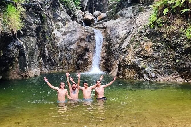 4-Hour Jungle Hike and Waterfall Swim - The Jungle Trail: Rough Paths, Changing Conditions, and River Crossings