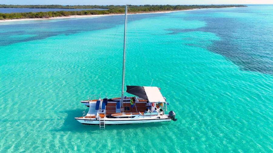 4 Hour Turtle Sanctuary Experience on a Luxury Catamarán - Meeting Point at Asta Bandera and Cruise-Ship Timing That Matters