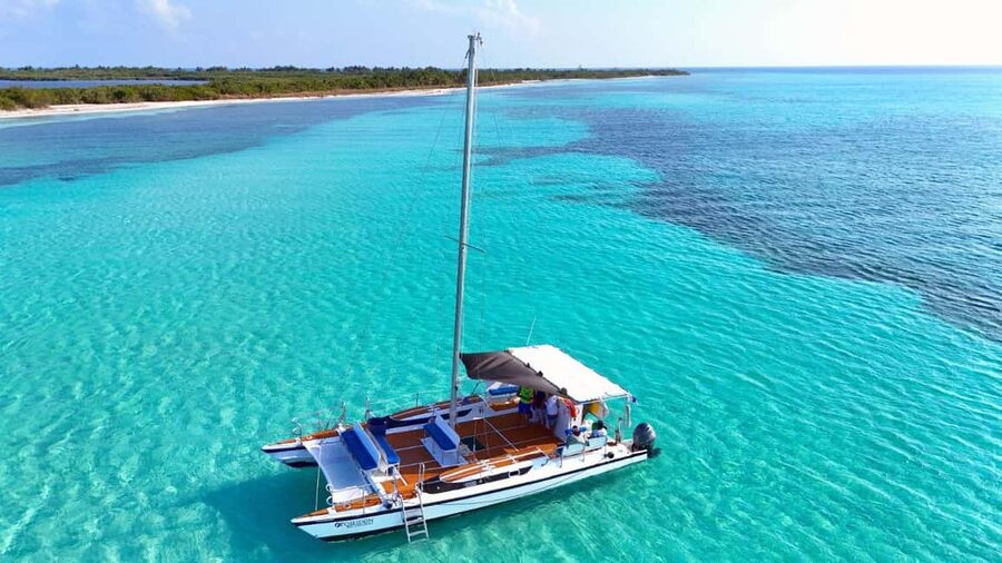 4 Hour Turtle Sanctuary Experience on a Luxury Catamarán - Stop 2: El Cielo Starfish Sanctuary on Pristine White Sands