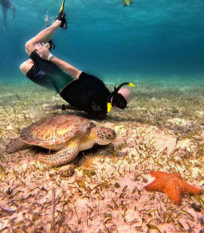 4 Hour Turtle Sanctuary Experience on a Luxury Catamarán - Food, Drinks, and the On-Board Bathroom Setup