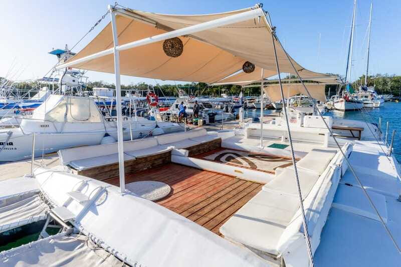 4 Hour Turtle Sanctuary Experience on a Luxury Catamarán - Wildlife Odds: How to Maximize Turtle and Starfish Time