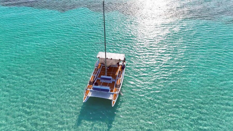 4 Hour Turtle Sanctuary Experience on a Luxury Catamarán - Stop 1: Cozumel Reefs and the Green Turtle Sanctuary