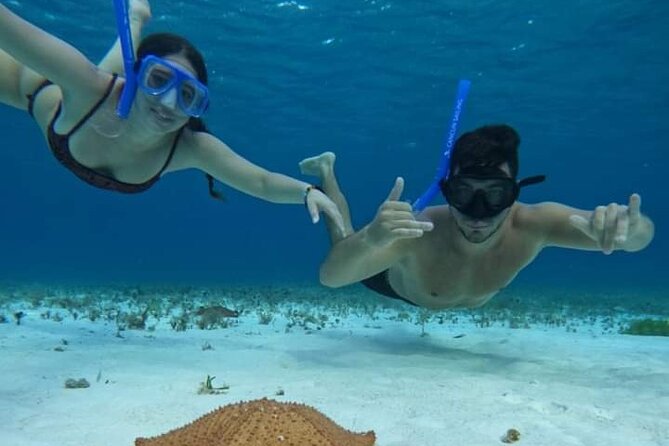 4 hours of shared snorkeling to El Cielo - The 4-hour flow: reefs first, then El Cielo, then El Cielito