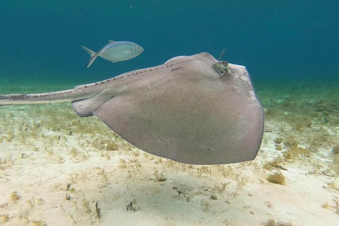 4 hours of shared snorkeling to El Cielo - Guides and boats: the human part that makes or breaks snorkel tours