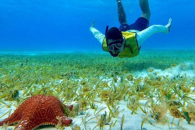 4 hours of shared snorkeling to El Cielo - Weather, sunscreen rules, and the reality of a short trip