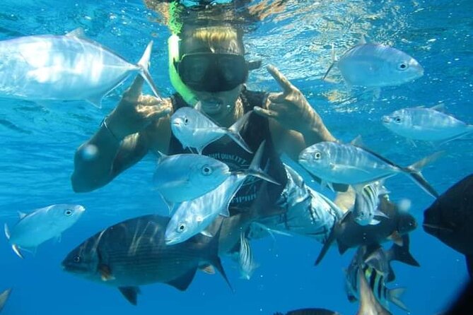 4 hours of shared snorkeling to El Cielo - Who this snorkeling experience is best for