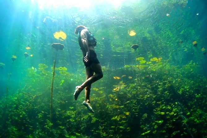 4-in-1 Cenote Tour Guided Experience with Breakfast, Lunch & Wine - Xenotes Oasis Maya: Getting There, Getting in, Getting Ready
