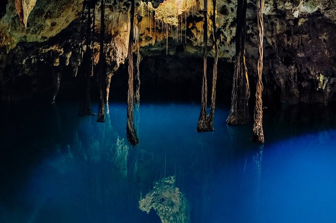 4-in-1 Cenote Tour Guided Experience with Breakfast, Lunch & Wine - Iik’ Wind Cenote: Zip Lines and the Seven-Meter Cliff Jump Option