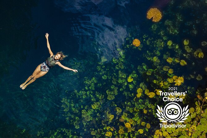 4-in-1 Cenote Tour Guided Experience with Breakfast, Lunch & Wine - Lu’um Earth Cenote Rappel: When You Get to See the Caves Differently