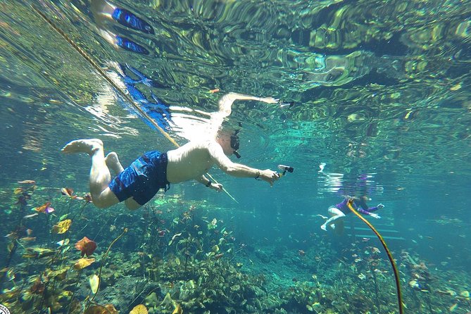 4 Private Cenotes, Zip-Lines, Canoes & Mayan Village with Delicious Lunch - Guides Who Actually Adapt: Danny, Alberto, Marianna, Hugo, and Yair