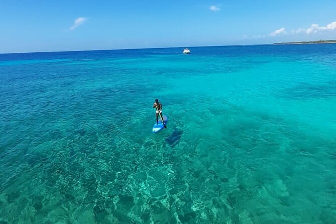 4H Lux 40' Catamaran All-Inclusive in Tulum and Playa del Carmen. - Price and Value: What $1,873.28 Buys for Up to 15