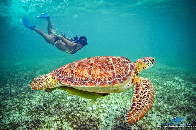 4H Private 38'Catamaran All-Inclusive in Tulum & Playa del Carmen - The 45 to 60 Minute Cruise: Coast Views Without the Waiting