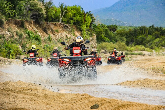 4x4 ATV Adventure with Tequila Tasting and Mexican Buffet Lunch - Key highlights to know before you go