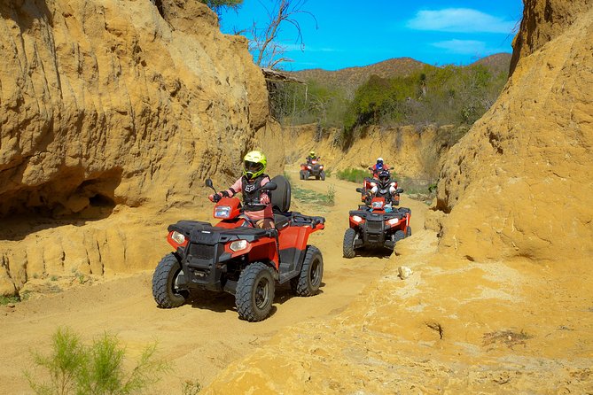 4x4 ATV Adventure with Tequila Tasting and Mexican Buffet Lunch - The ride itself: dusty Baja trails, cactus arroyos, shallow streams