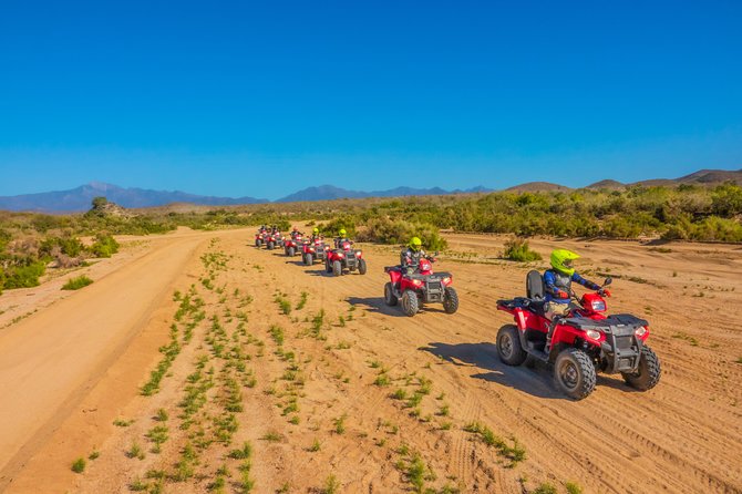 4x4 ATV Adventure with Tequila Tasting and Mexican Buffet Lunch - The ocean-view buffet at lunch: where the day resets