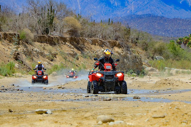 4x4 ATV Adventure with Tequila Tasting and Mexican Buffet Lunch - Tequila and mezcal tasting: included drinks, short and timed