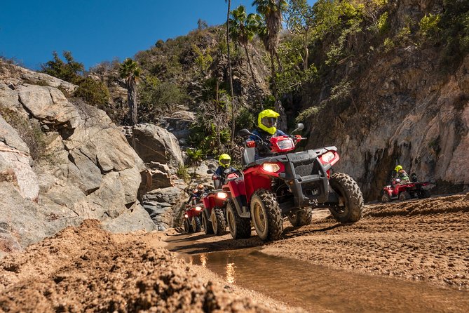 4x4 ATV Adventure with Tequila Tasting and Mexican Buffet Lunch - Price and what you really pay: the $75 base plus mandatory fees