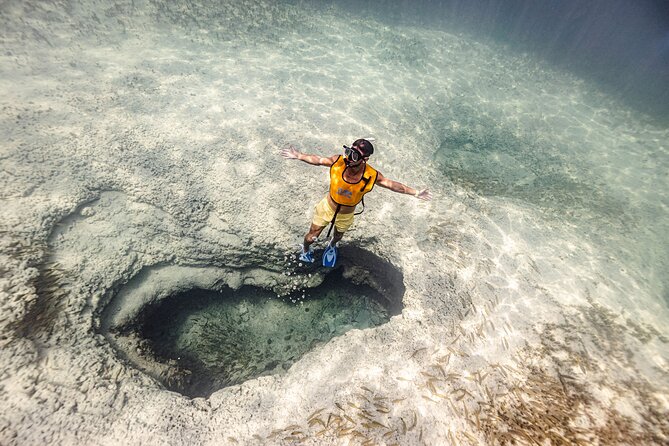 5-in-1 Cancun Snorkeling Tour with Sea Life & Transport Included - Key Highlights You Will Feel Fast