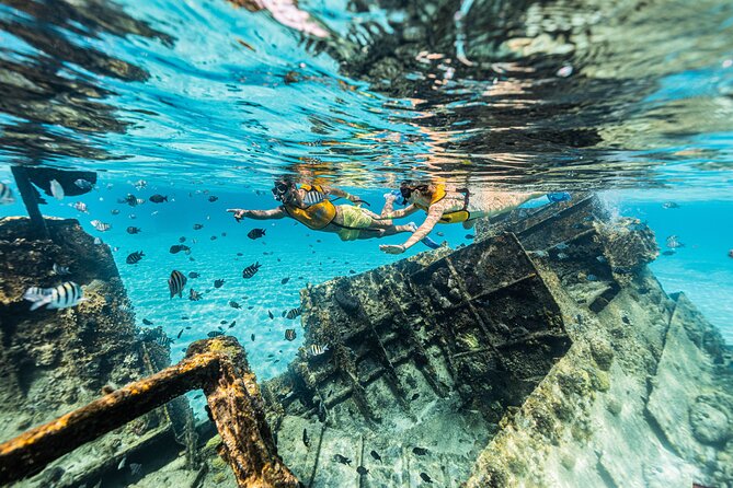 5-in-1 Cancun Snorkeling Tour with Sea Life & Transport Included - Stop 2: Musa Underwater Art Galleries, Blessings and Vestiges