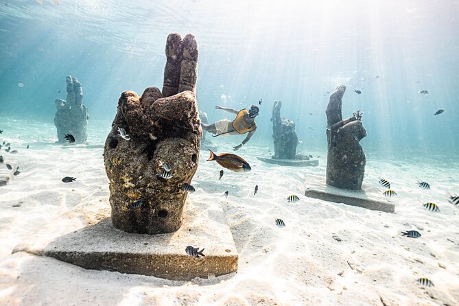 5-in-1 Cancun Snorkeling Tour with Sea Life & Transport Included - Stop 4: Shipwreck Snorkel in Clear Water and White Sand