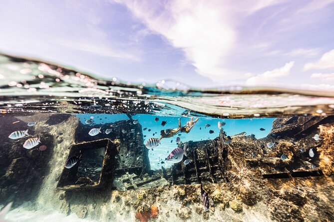 5-in-1 Cancun Snorkeling Tour with Sea Life & Transport Included - Stop 5: Cenote Finale With an Underwater Natural Formation