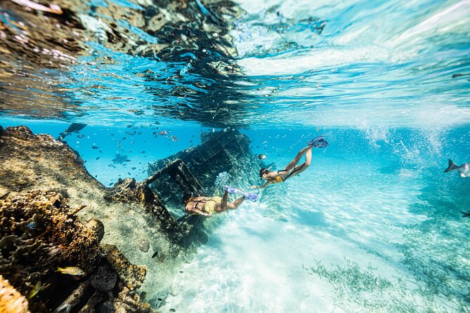 5-in-1 Cancun Snorkeling: Turtles, Reef, Musa, Shipwreck, Cenote - MUSA Underwater Art Galleries: Statues That Turn Snorkeling into Sightseeing