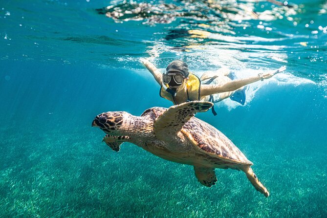 5-in-1 Cancun Snorkeling: Turtles, Reef, Musa, Shipwreck, Cenote - Shipwreck Stop: Why This Scene Feels Different