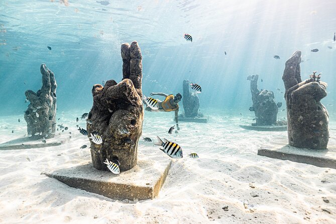 5-in-1 Cancun Snorkeling: Turtles, Reef, Musa, Shipwreck, Cenote - Cenote Finale: Cool Water, Real Cave Vibes, and Timing Trade-Offs