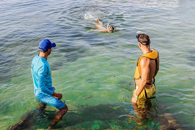 5-in-1 Cancun Snorkeling: Turtles, Reef, Musa, Shipwreck, Cenote - Crew, Boat, and Gear: What Makes the Day Feel Smooth