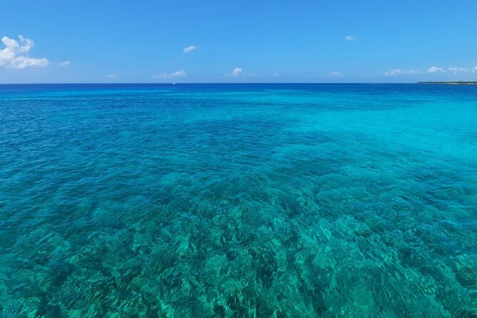 5H Private 44' Catamaran All-Inclusive - Tulum & Playa del Carmen - On Board Living: Open Bar, Snacks, and a Real Restroom
