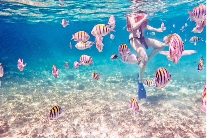 5H Private 44' Catamaran All-Inclusive - Tulum & Playa del Carmen - From Puerto Aventuras Toward In-Ha: The First Swim and Snorkel Stop