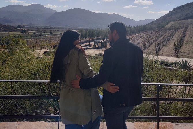 $99 Valle de Guadalupe Wine Tours - DayTrip to baja from San Diego - What “private tour” changes in your actual experience