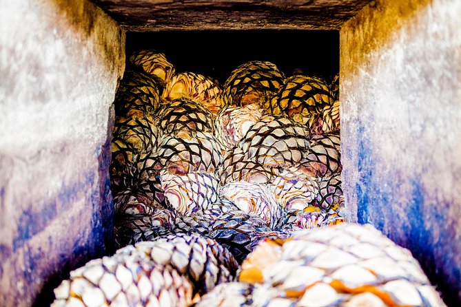 A unique tour! Visiting Hacienda Casa herradura From Guadalajara - From Guadalajara to Tequila’s real backyard