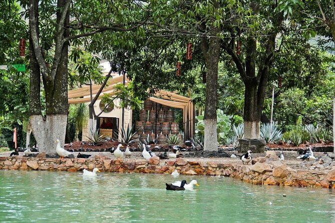 A unique tour! Visiting Hacienda Casa herradura From Guadalajara - Who this tour is perfect for
