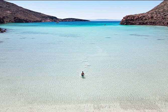 Adventure to Espiritu Santo Island: Snorkel with Sea Lions and Beach - Key points before you go
