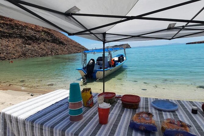 Adventure to Espiritu Santo Island: Snorkel with Sea Lions and Beach - Isla Partida and the boat ride between wonders
