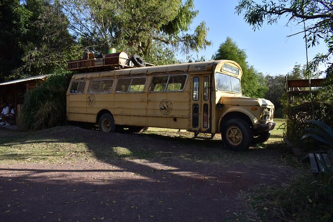 Africam safari (private tour) - What Is Included, And What You’ll Need To Budget For