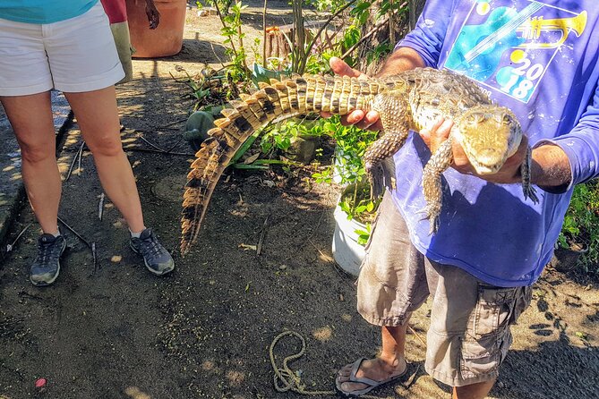Afro-Mex Village Experience -Horseback Ride -Turtle Hatch & Crocs - Key things to know before you go