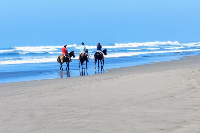 Afro-Mex Village Experience -Horseback Ride -Turtle Hatch & Crocs - Guide energy, safety vibes, and why names keep coming up