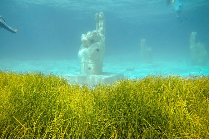 Afternoon Half-Day Catmaran Sailing and Snorkel Adventure - Snorkeling off Cancun and Isla Mujeres: plan for conditions, not fantasies