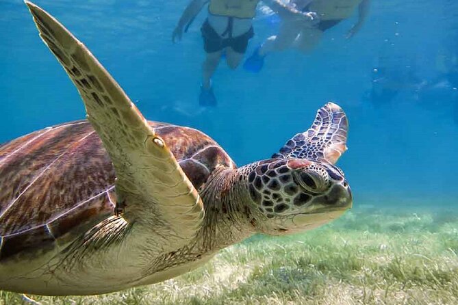 Akumal Bay snorkeling, plus 3 cenotes and great food - Cenote safety gear and photo policy, what to bring (and what not to do)